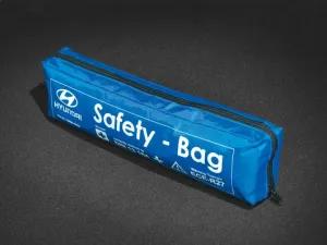 Genuine Hyundai Ioniq 5 Safety Bag