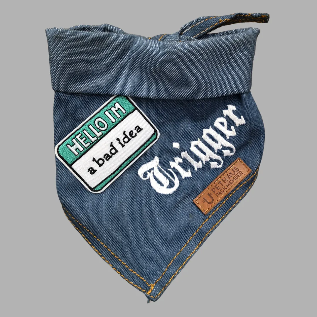 Hello I'm a Bad Idea Patch
