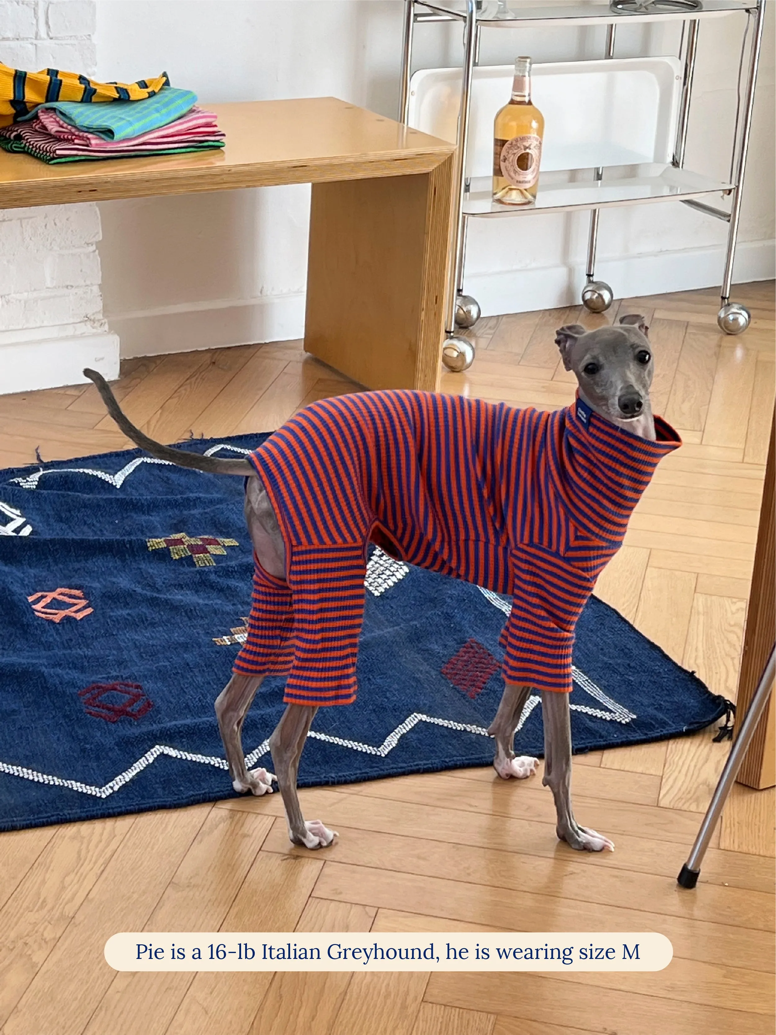 Knickerbocker Onesie