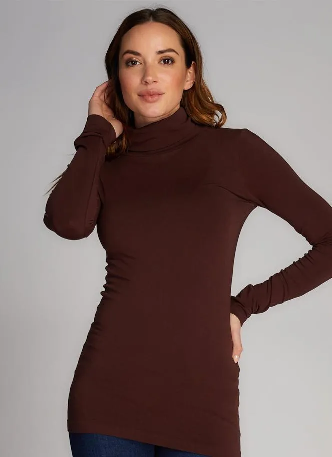 Top Bamboo Turtleneck Plus